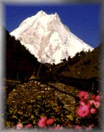 Mt Manaslu   8163m, Nepal  