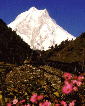Mt Manaslu from Sama, Nepal Himalaya