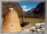 Dhoka..the carrying basket of Nepal,  Manaslu trek, Nepal