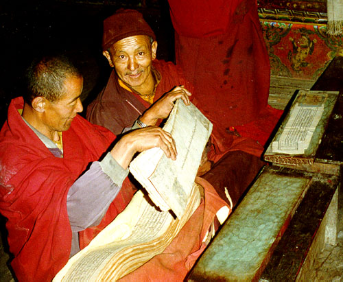 monks reading, Lo gompa, Nupri, Manaslu region