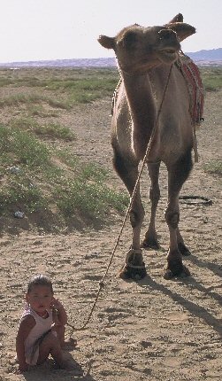 Child and camel in the Gobi