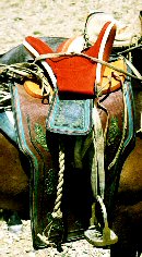 Mongolian saddle detail