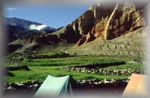 tents at Trangmar, Mustang, Nepal(53k)