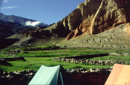 camp at Trangmar, Mustang
