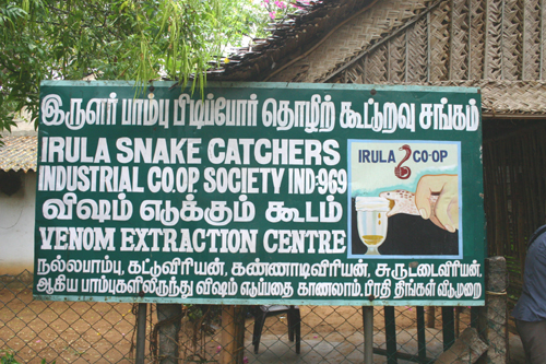 snake venom extractors, Mammalpuram, Tamil Nadu
