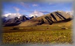Grasslands near Kyirong, Tibet (46k)