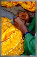 tie-dye silk master:   Bhuj, Kutch
